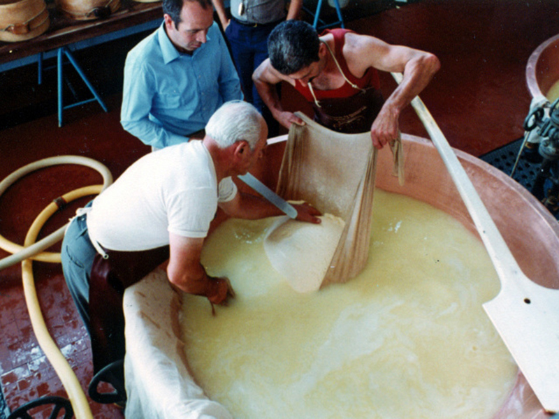 parmigiano07
