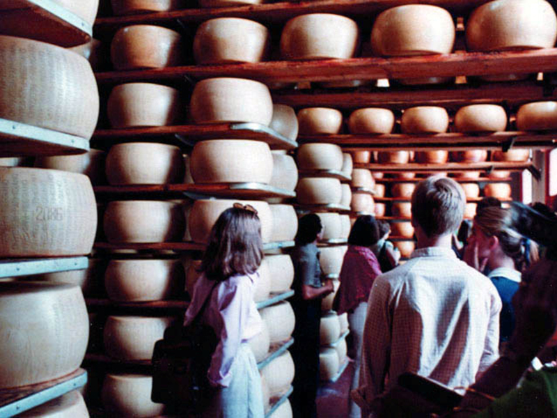 parmigiano16