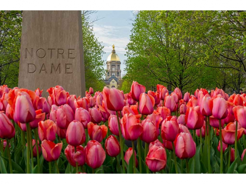 Barbara Johnston/University of Notre Dame