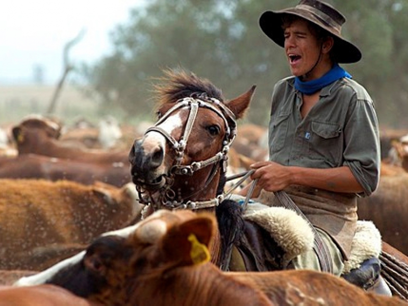 Gauchos work with cattle at Estancia Ibera, Esteros del Ibera, Corrientes Province, Argentina